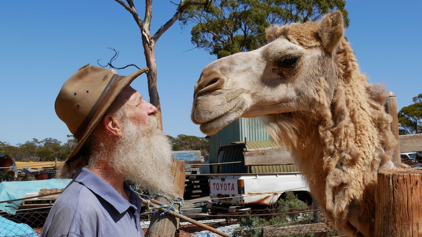 A man stands facing his pet camel