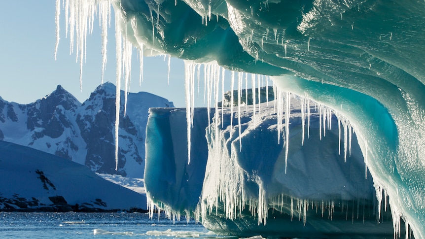 Icicles hang from melting icebergs in Antarctica.