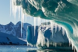 Icicles hang from melting icebergs in Antarctica.