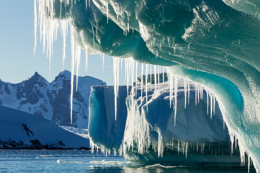 Icicles hang from melting icebergs in Antarctica.