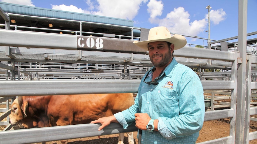 A smiling cattleman stands in front of a bull in a cattleyard.