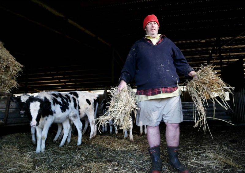 Dairy Farmer Greg Schofield with hay and cows