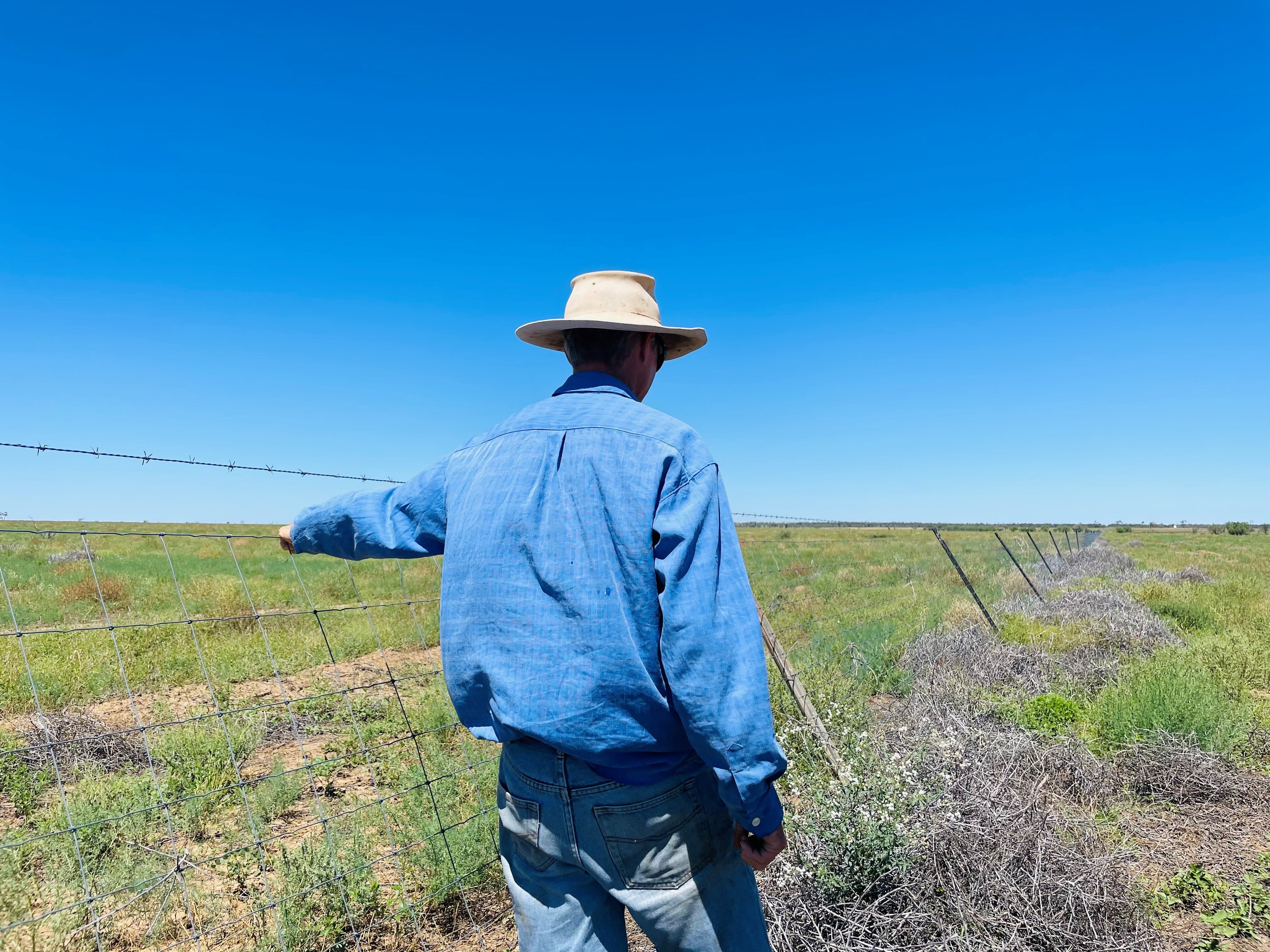 Scott Counsell looks at his fence at Evoka Station