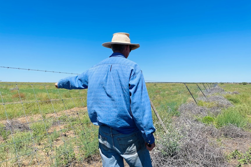 Scott Counsell looks at his fence at Evoka Station