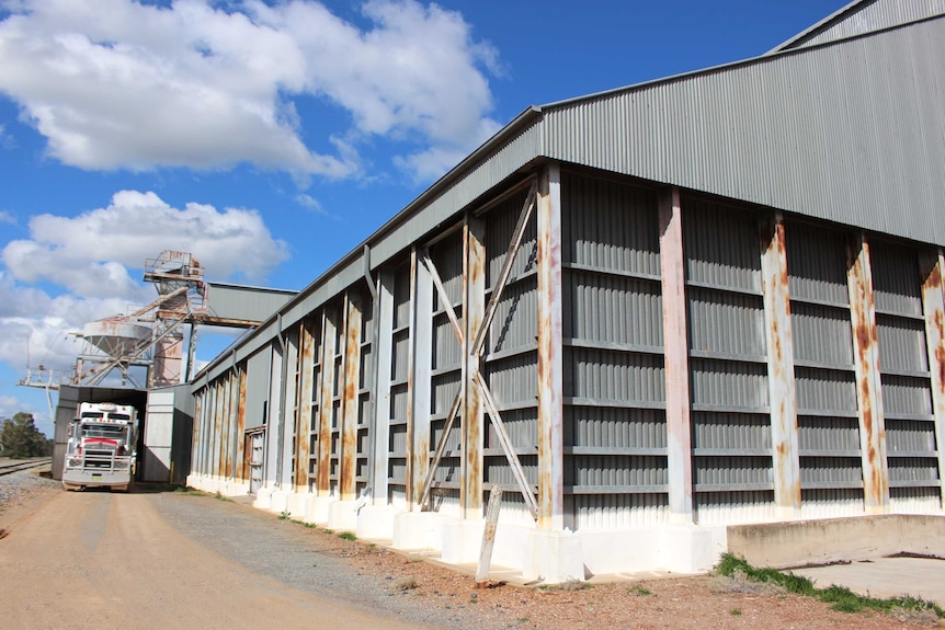 Grain being loaded at Matong silos