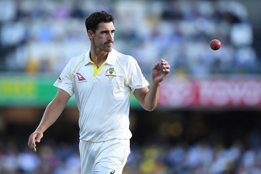 Mitchell Starc turning to his left to catch the ball as he returns to his run-up mark at the Gabba.