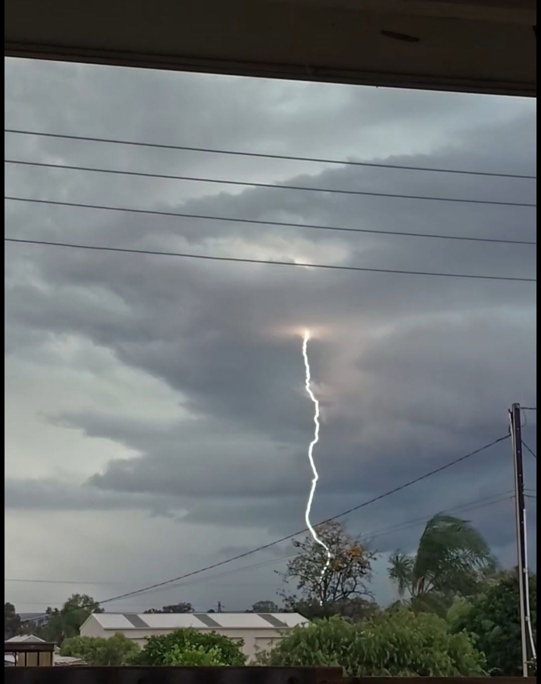 Car crushed by tree limb, lightning and 98 km winds in SA