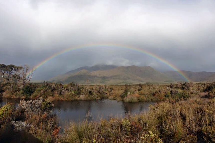 A rainbow over the landscape at Melaleuca