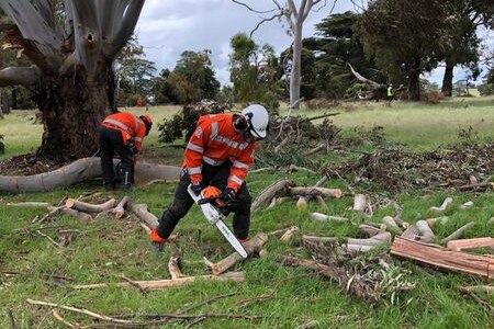 two SES volunteers wearing protective gear using chainsaw to clear fallen trees