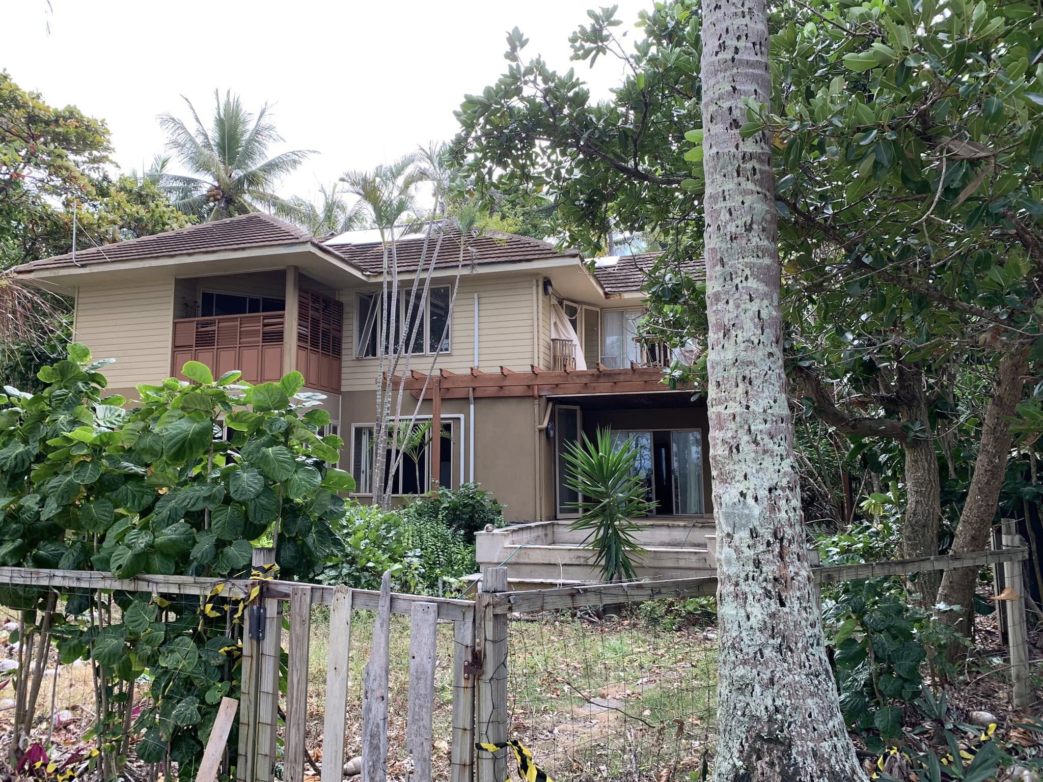 scene from an abandoned tropical island.