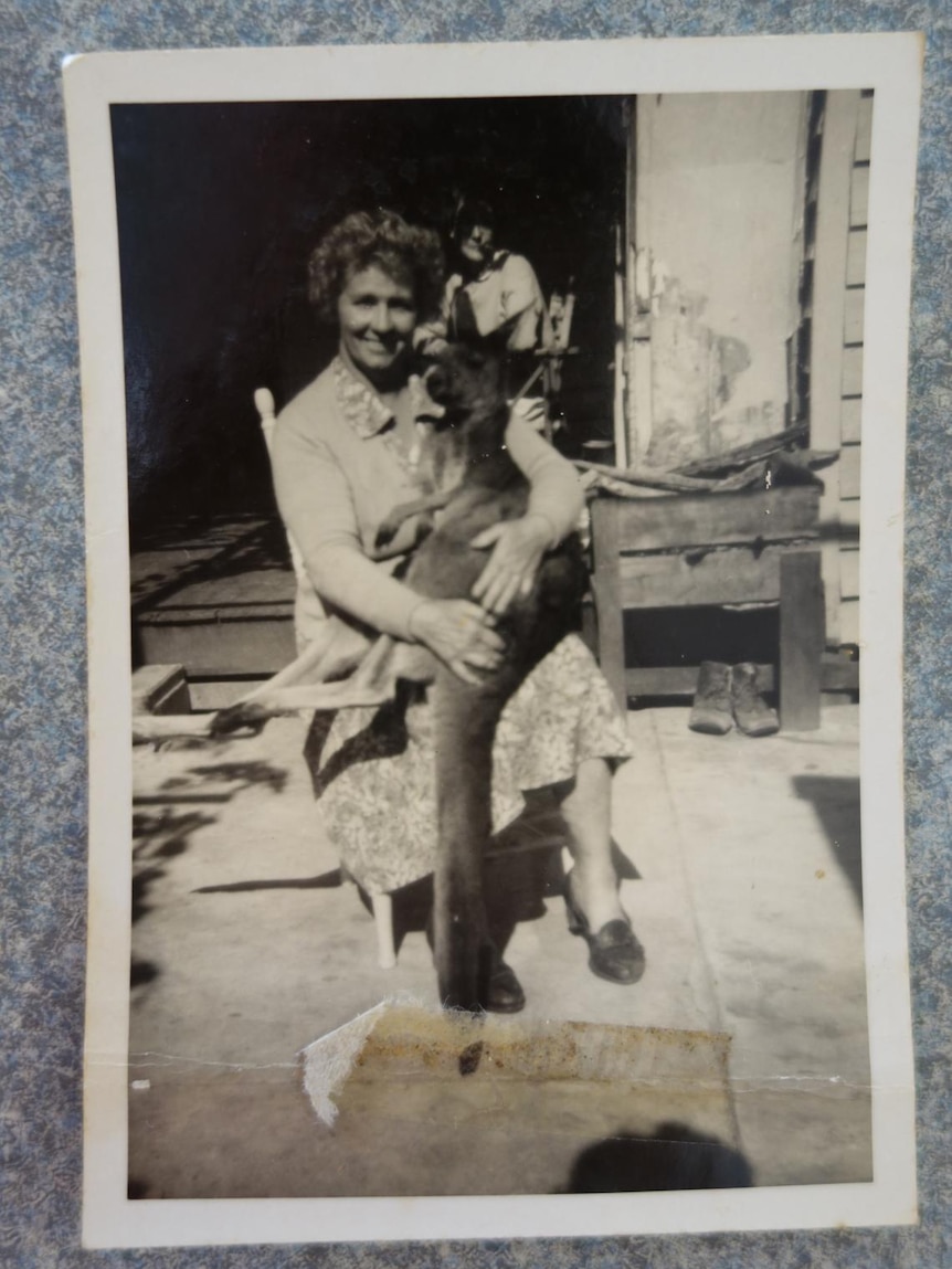 A black and white photo of a woman in a frilled shirt, sitting in a chair on a porch, holding a kangaroo