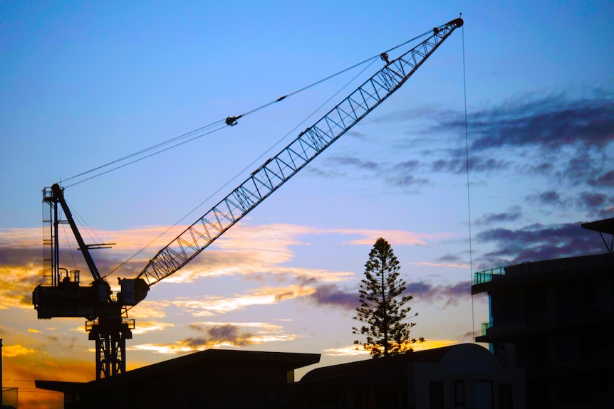A crane, silhouetted by the setting sun.