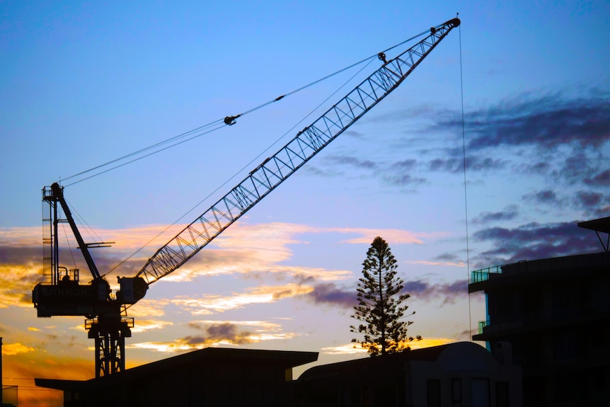 crane at sunset