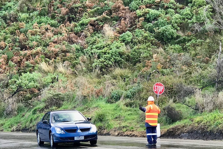 A man with a stop sign directs traffic along the Great Ocean Road.