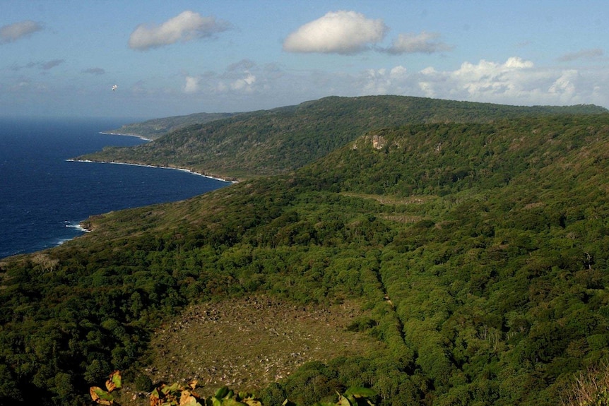 An aerial shot of an island covered with dense jungle, with the sea in the background.