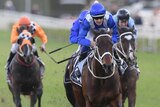 Jockey Hugh Bowman and Winx race with three other horses behind them.