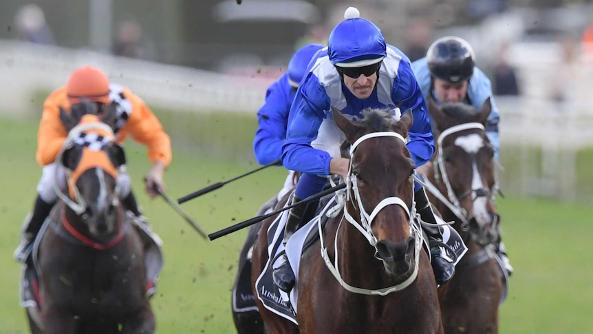 Jockey Hugh Bowman and Winx race with three other horses behind them.