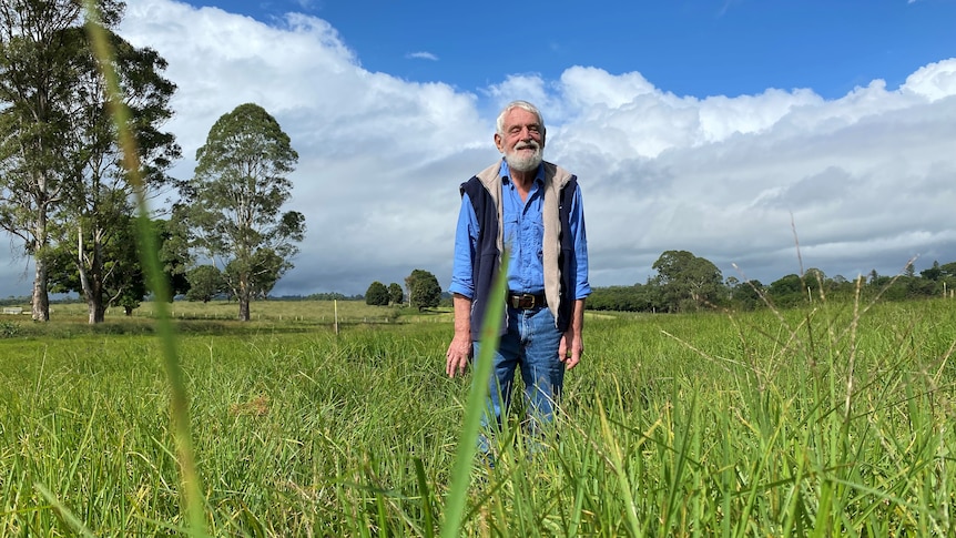 An elderly man, grey hair, grey beard, blue half-sleeved jacket over denim shirt and jean, stands in paddock of knee high grass.