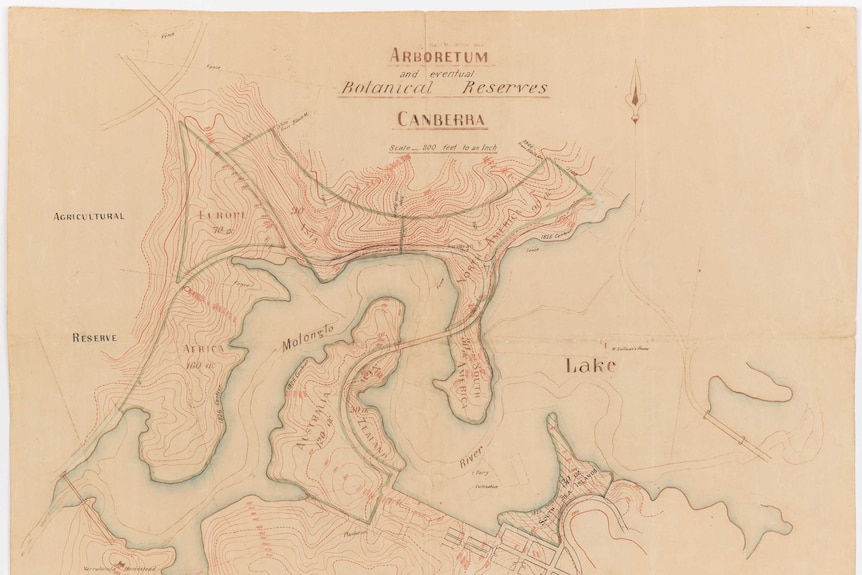 An early drawing of Griffin's arboretum, illustrating its layout.