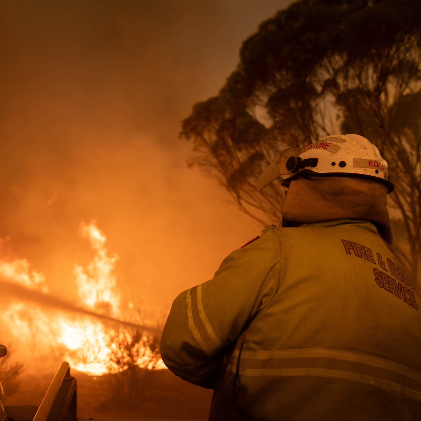 Un bombero rocía agua con una manguera sobre un incendio en un matorral.