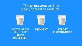 Dairy pressures