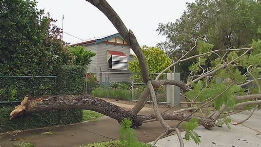 North Queensland town of Ayr relatively unscathed by Cyclone Debbie