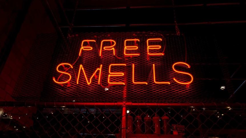 Red neon lettering installed on a mesh fence spells out 'Free Smells' at night.