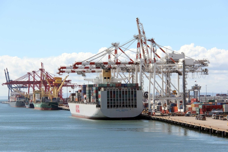 Container ships docked at the Port of Brisbane.