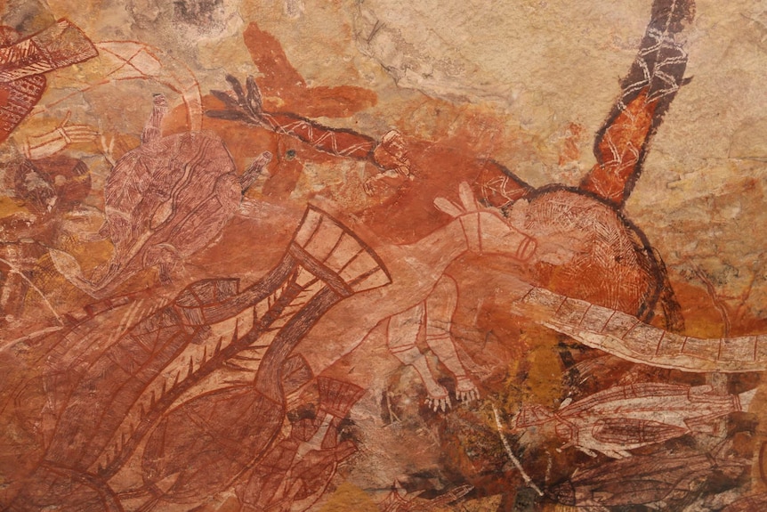 A kangaroo, long-necked turtle and a barramundi can be seen on this rock art site in Arnhem land.