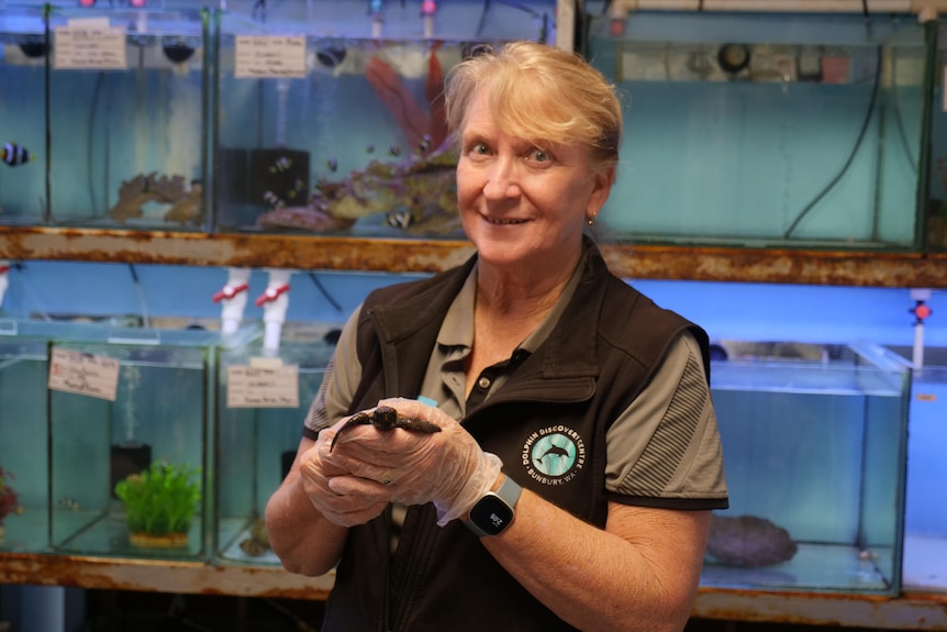 An older woman with blonde hair holding a baby turtle, wears a black sleeveless jacket with logo, aquarium behind.