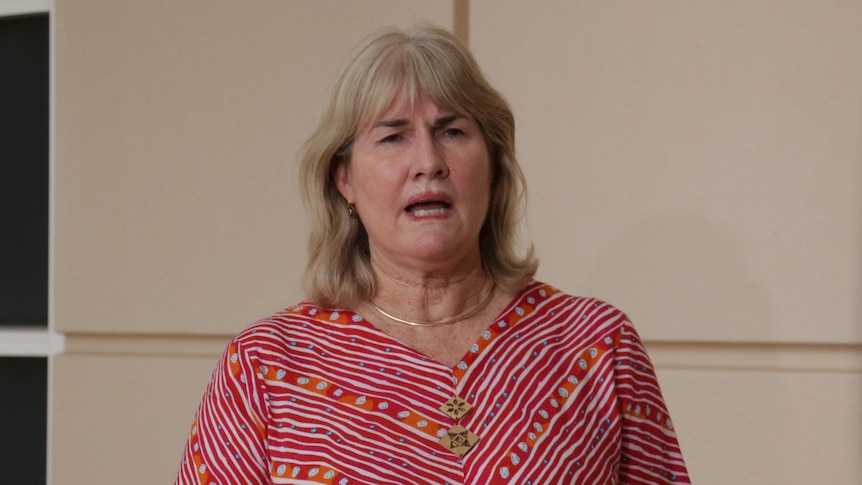 A politician stands behind microphones and speaks at a press conference