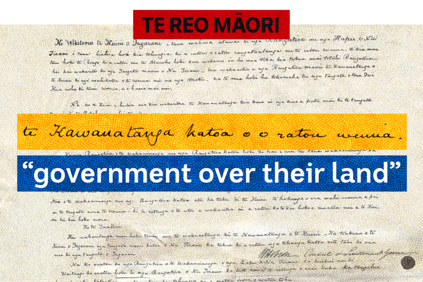 A graphic of the original Te Reo version of the treaty with text highlighted saying "government over their land"