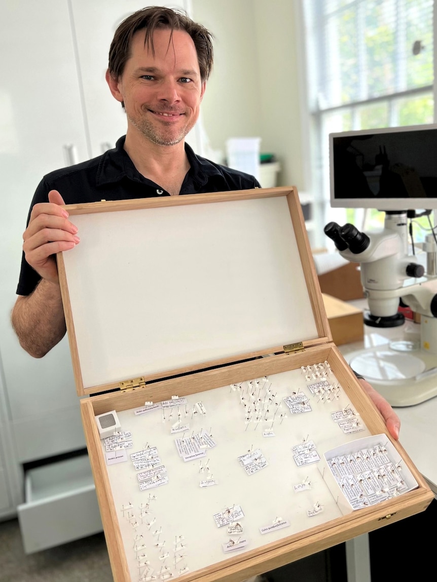 Metro North medical entomologist Dr Jonathan Darbro with his mosquito sample box
