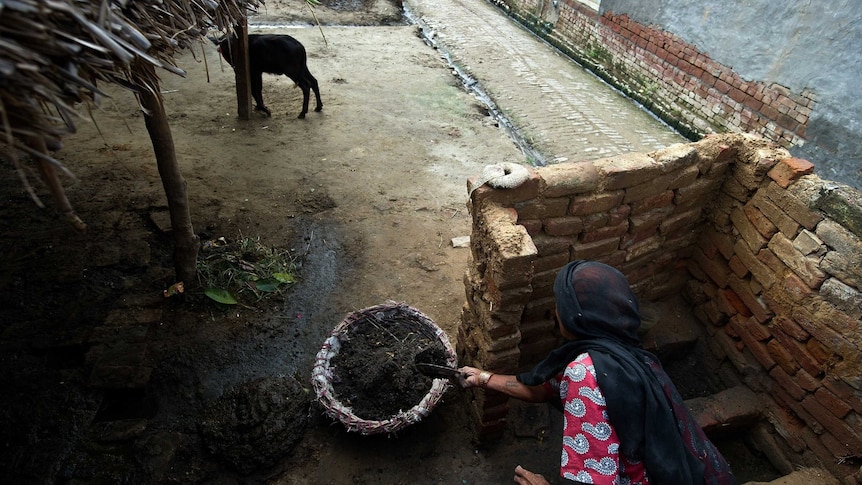 A manual scavenger collects human waste while cleaning a toilet in a village in Uttar Pradesh.