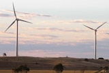 Wind turbines against a pink sky with grass in foreground