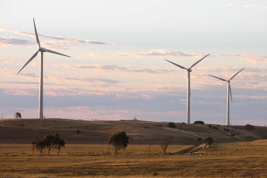 Wind turbines against a pink sky with grass in foreground