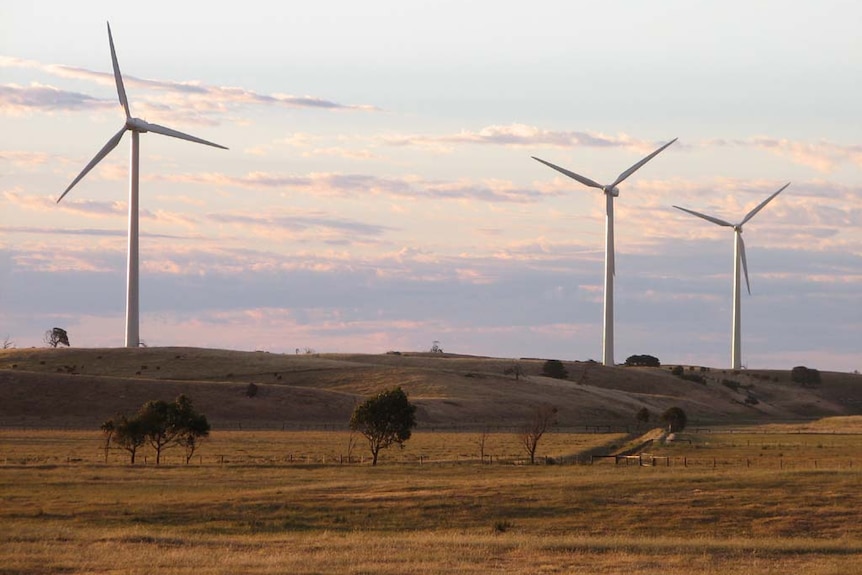 Wind turbines against a pink sky with grass in foreground