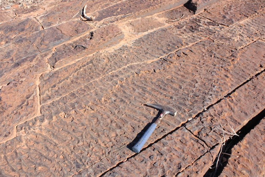 Wave patterns in rock from the Pilbara