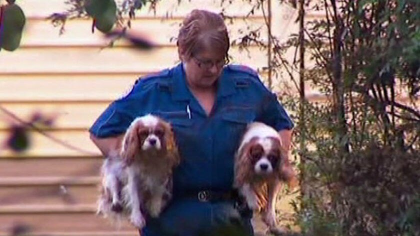 Good condition: the RSPCA said the dogs appeared to be well cared for