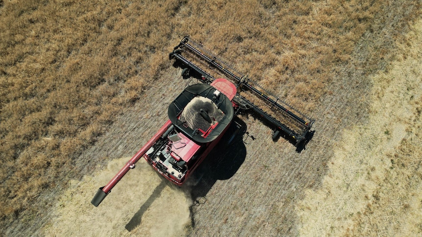 Drone Shot of Harvest 2023-10-25 08:10:00