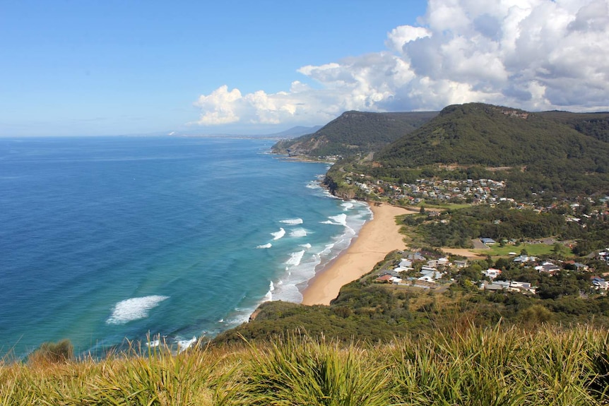 View of a coastline featuring forested hills, cliffs and sandy beaches.