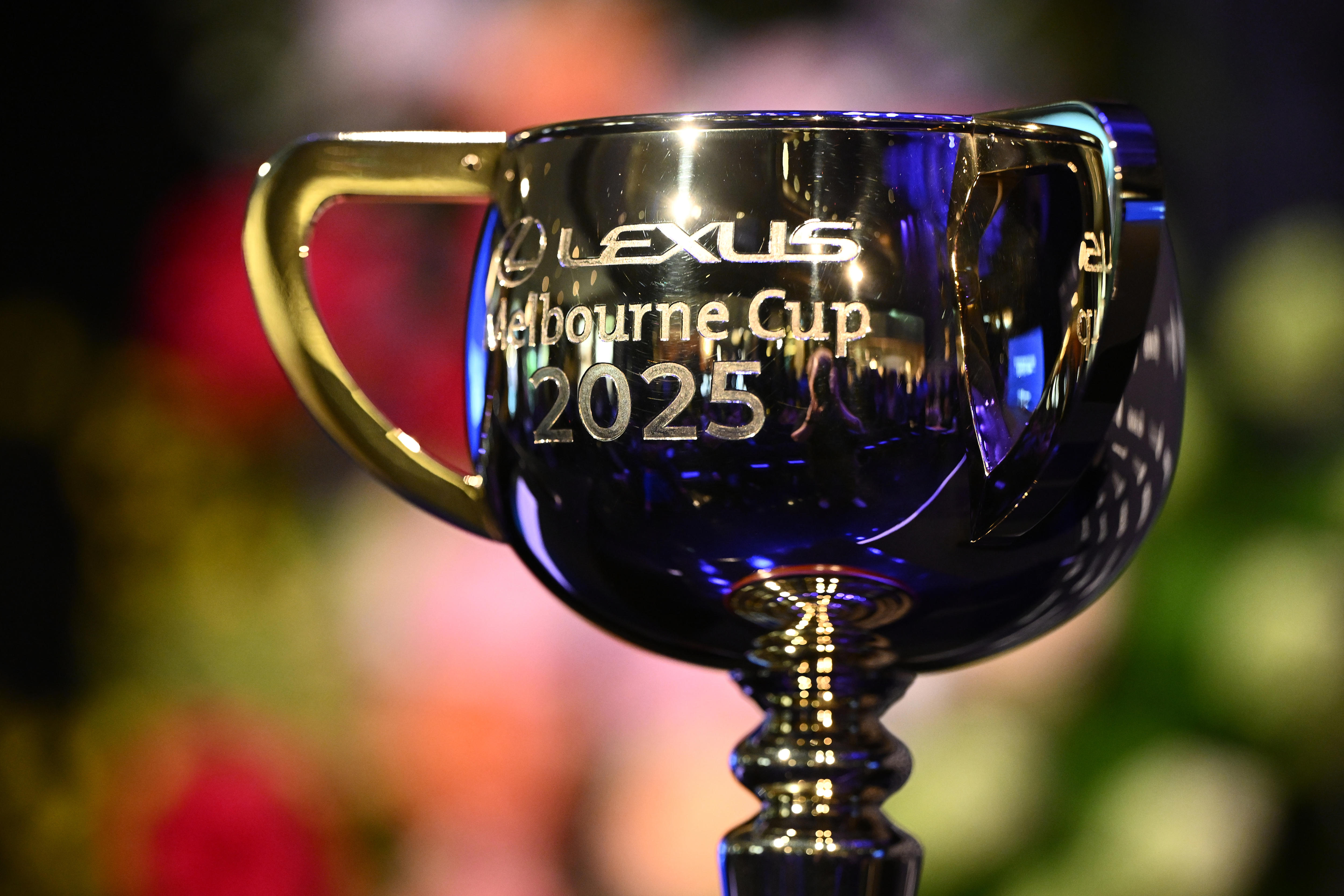 Sports Analysis with Warwick Hadfield