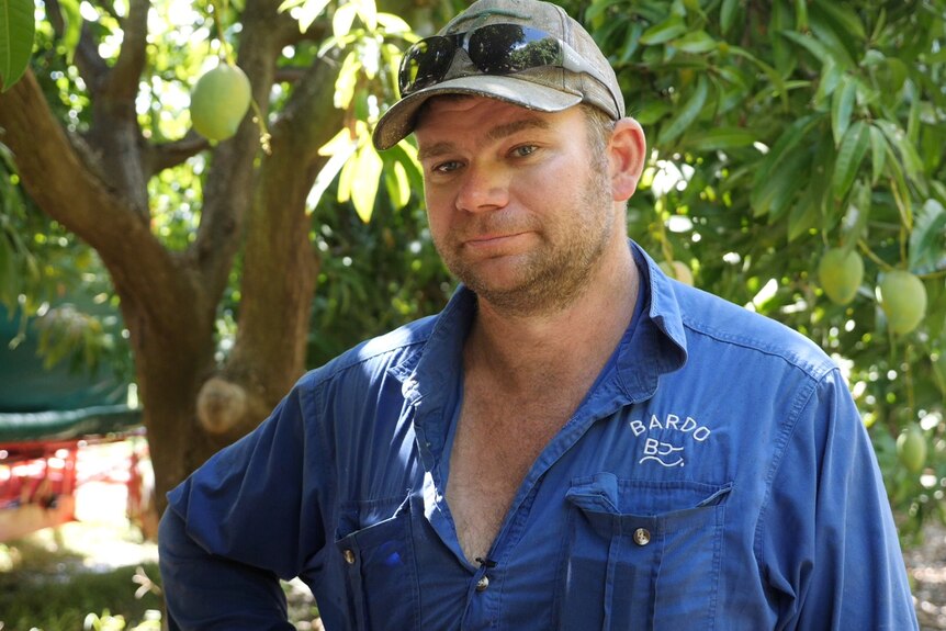 A man looks exasperated. He's standing under a mango tree in worn work gear 