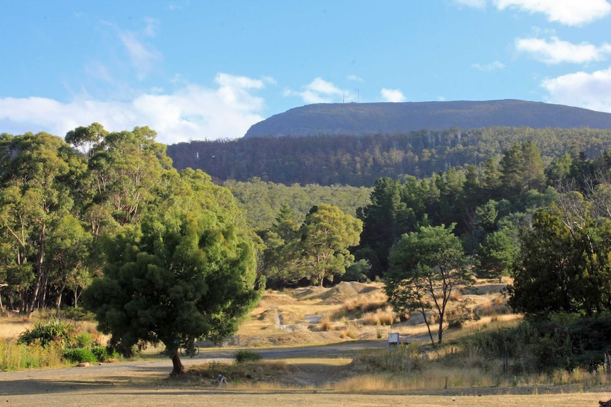 View of Mount Wellington from the mountain bike park