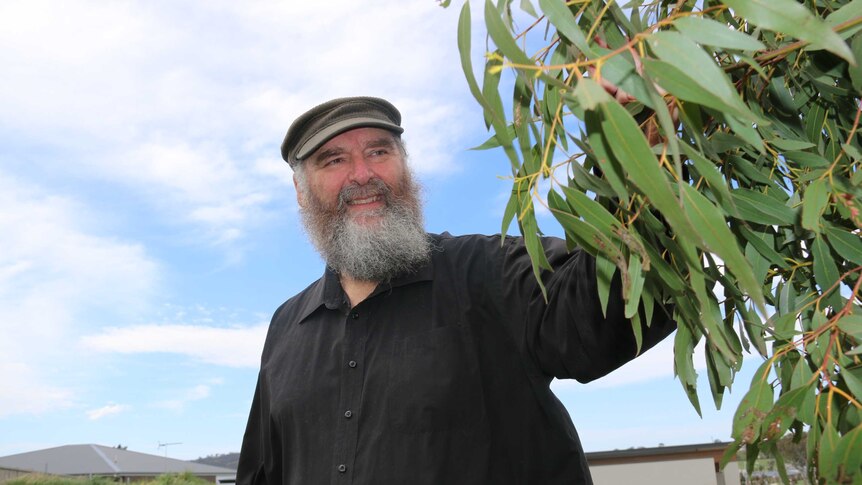 A professor inspects a newly-planted tree in a Canberra suburb.