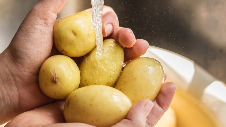 Pair of hands washing potatoes under running water.
