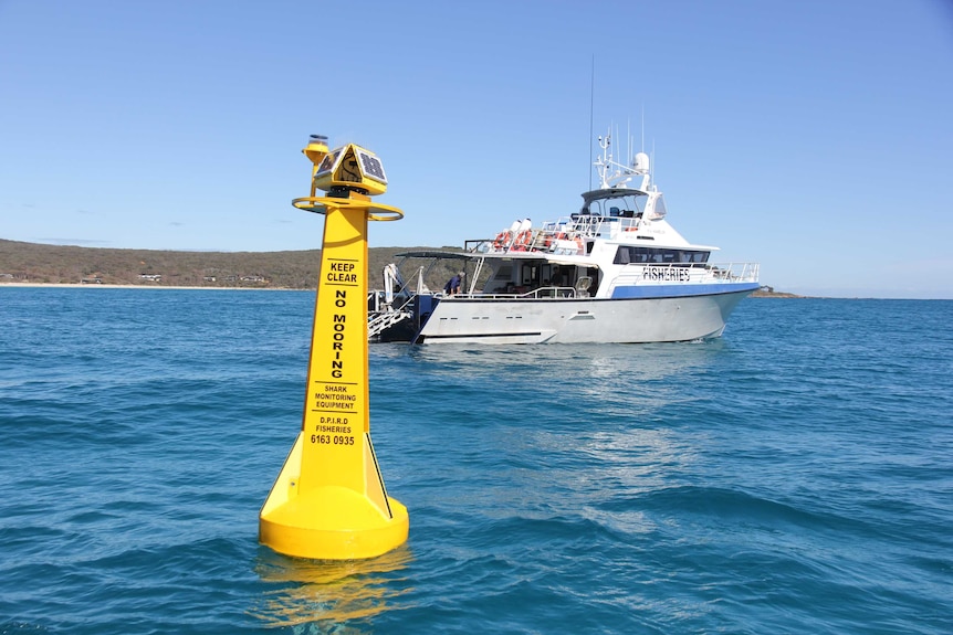 A buoy floats off Bunker Bay, Western Australia