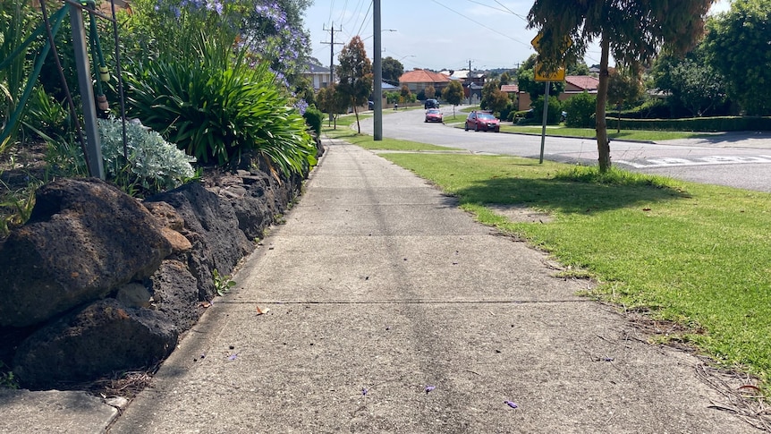 A sunny path next to the street.