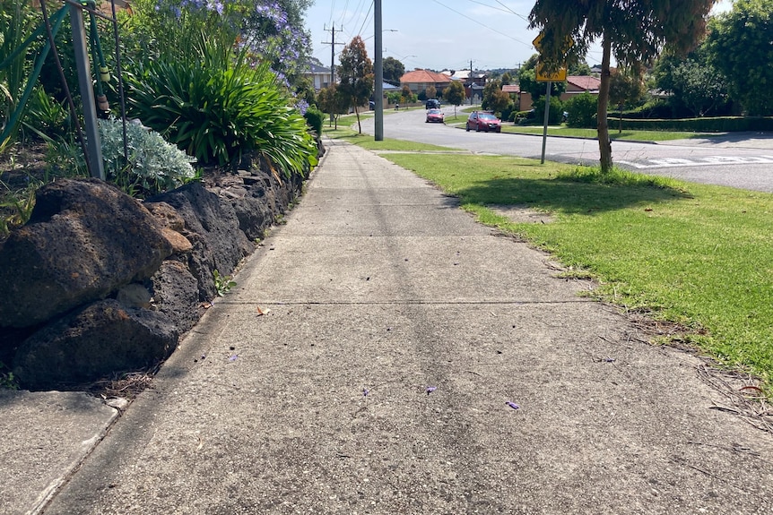 A sunny path next to the street.