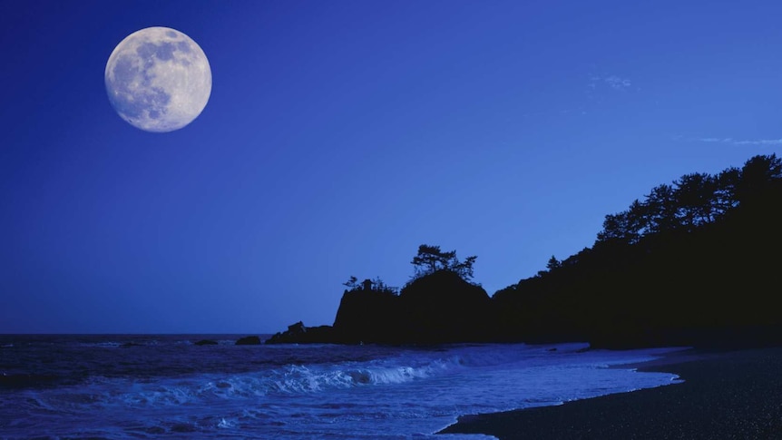 Full moon and high tide